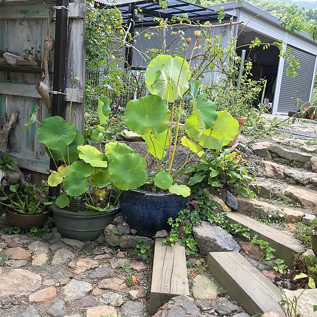pepeさんの実例写真