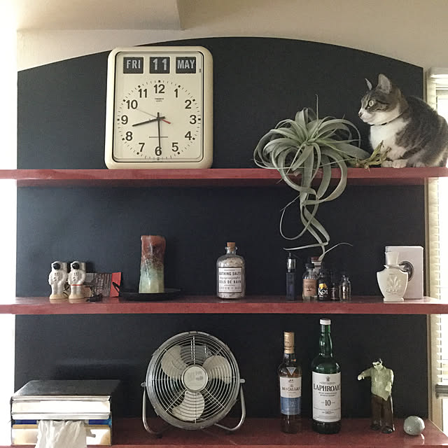 chihiroさんの実例写真