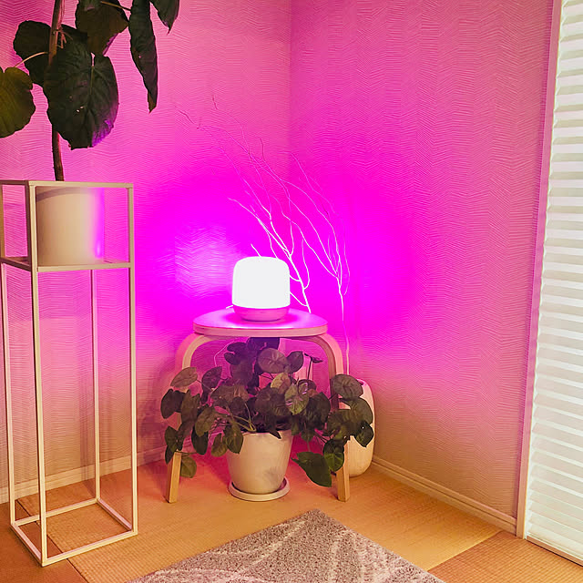 Denchanさんの部屋