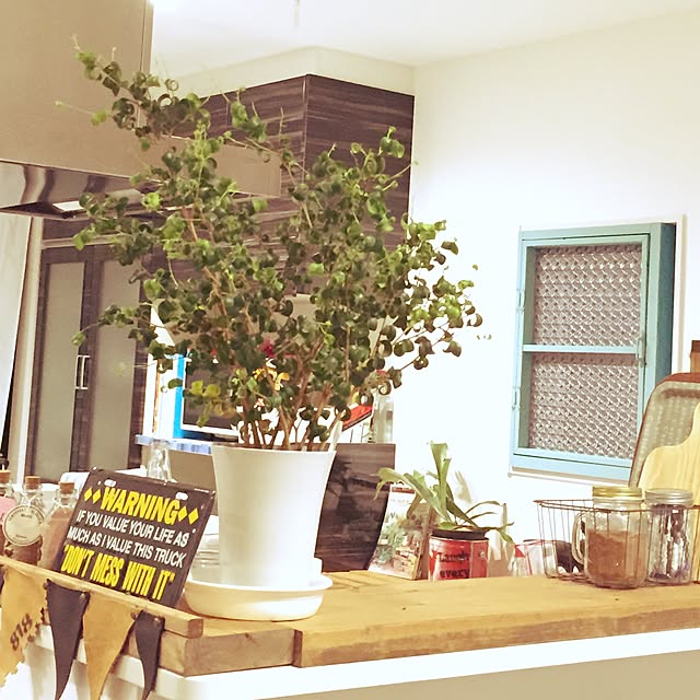 relaxsunさんの実例写真