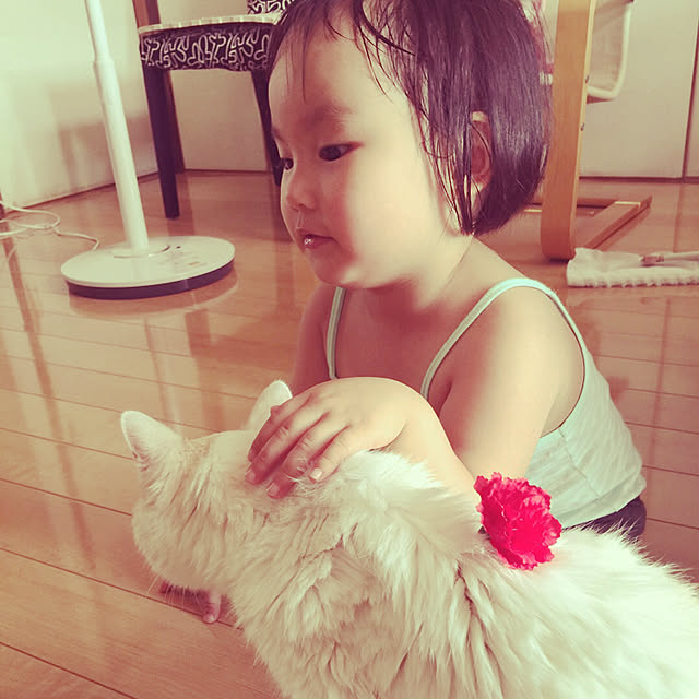 meg214さんの実例写真
