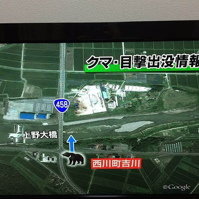 Chamさんの実例写真