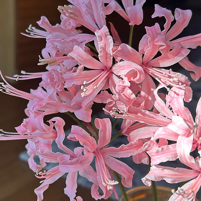 Fuku222さんの部屋