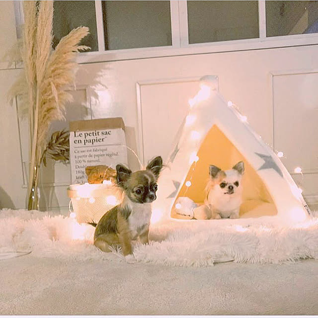 cocoさんの実例写真