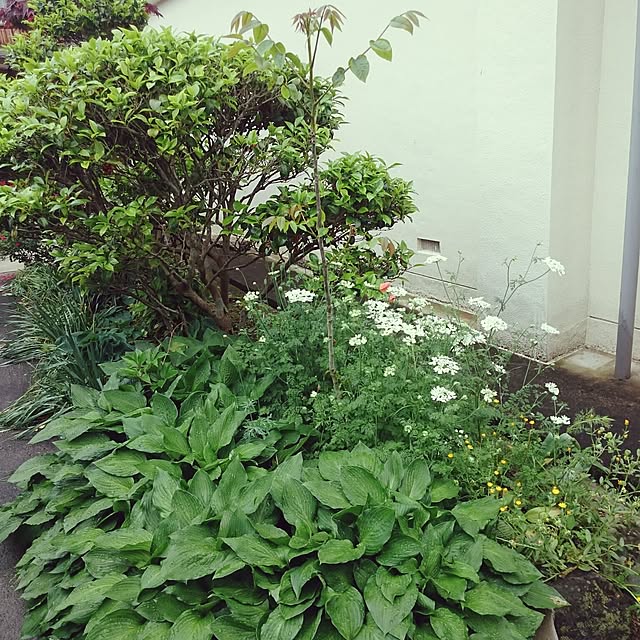 monblanさんの実例写真