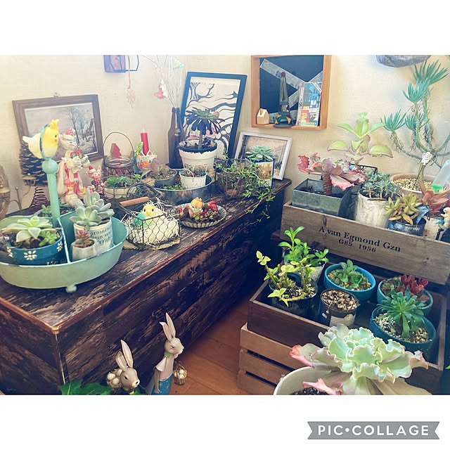 CoCo0617さんの部屋