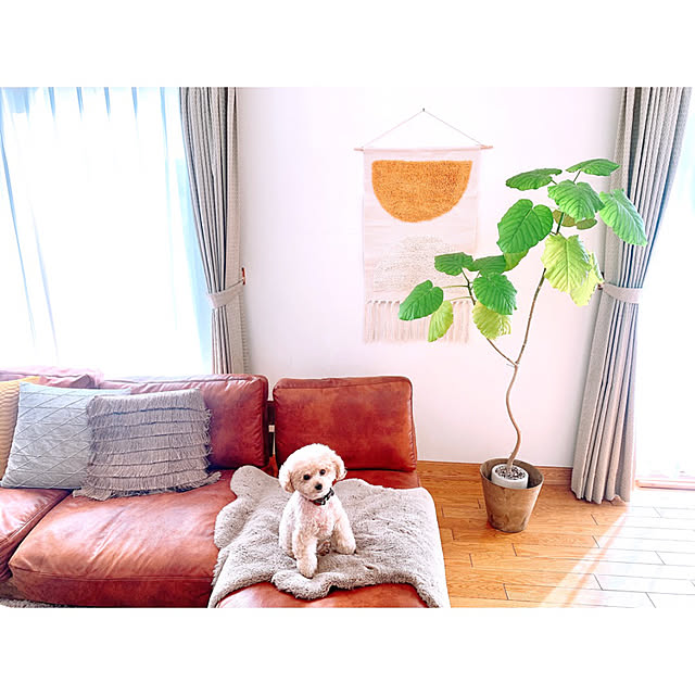 teaさんの実例写真