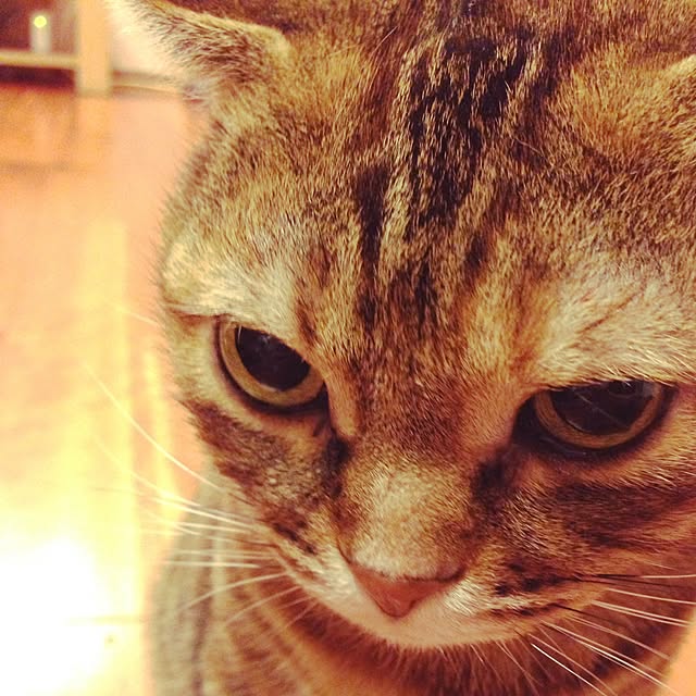 Y.Gさんの実例写真