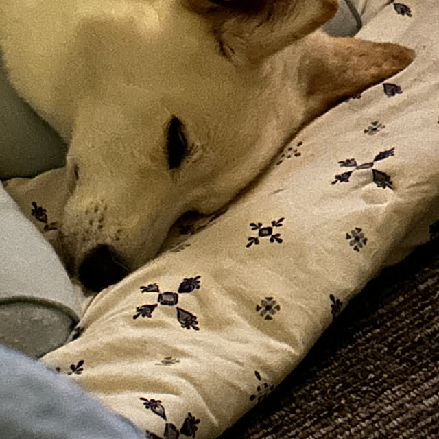 tanboさんの部屋