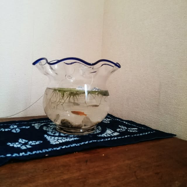 bunchoさんの実例写真