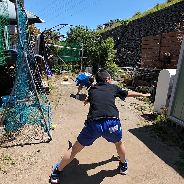 実例写真
