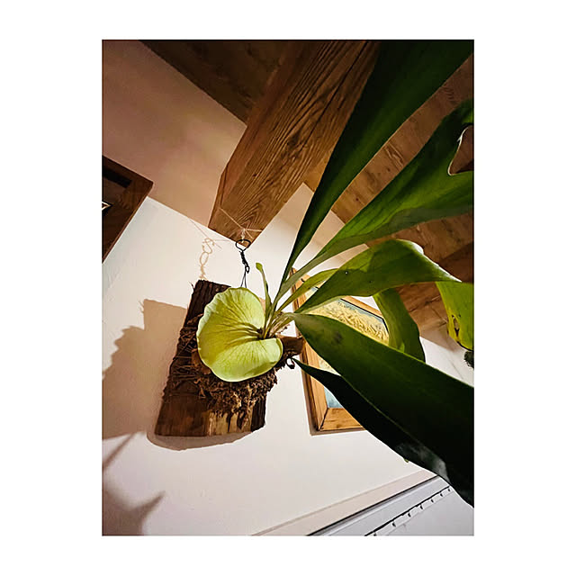 661home_baseさんの実例写真