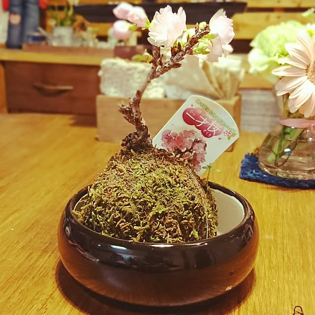 macoさんの実例写真