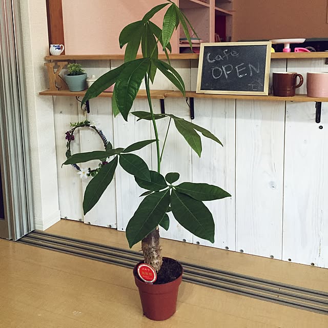 Rieさんの実例写真