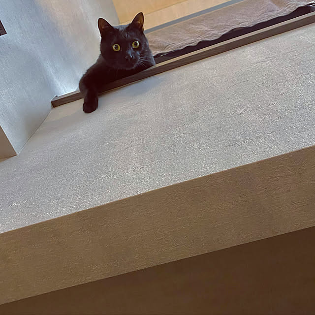 azk.121さんの実例写真