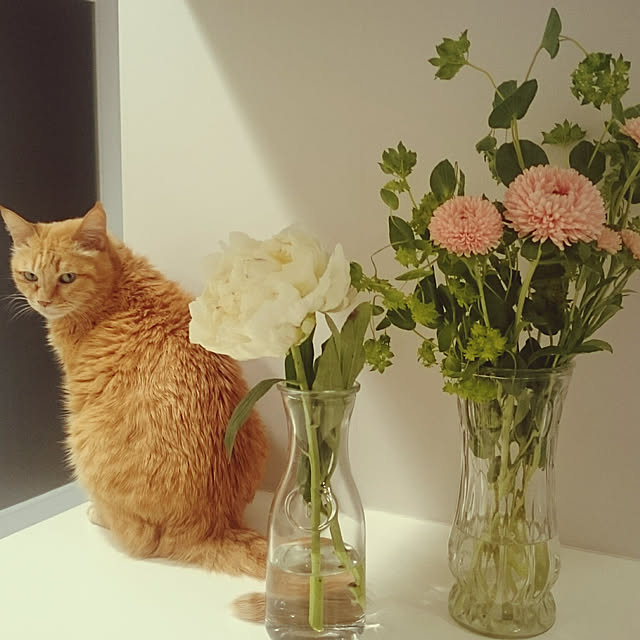 hanacocoさんの実例写真