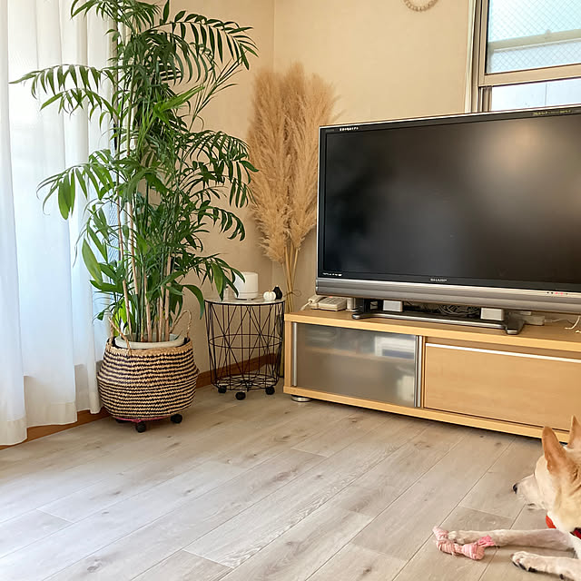 ruruさんの実例写真