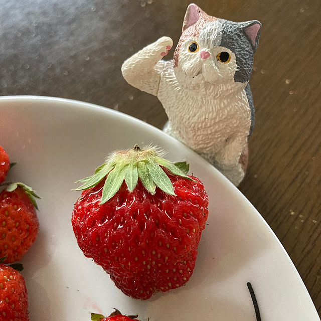 manduonmaさんの部屋