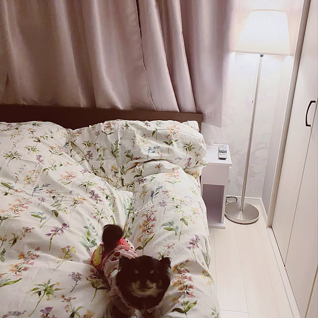 hiraさんの実例写真