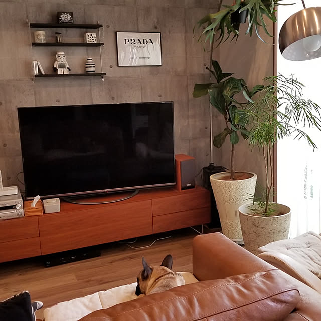 renrenさんの実例写真