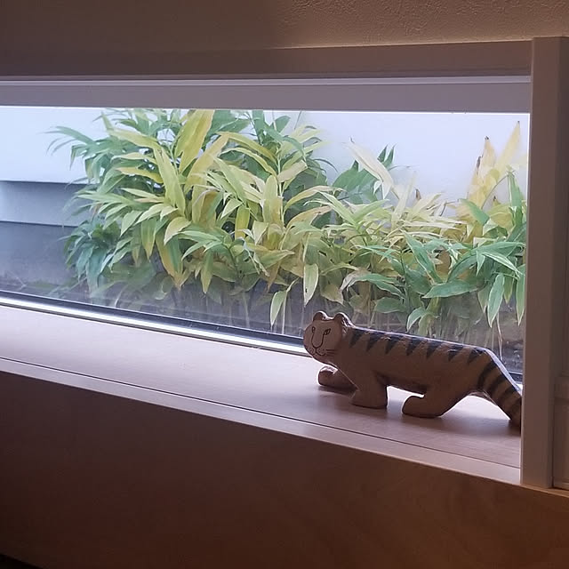 shimaaadsさんの実例写真