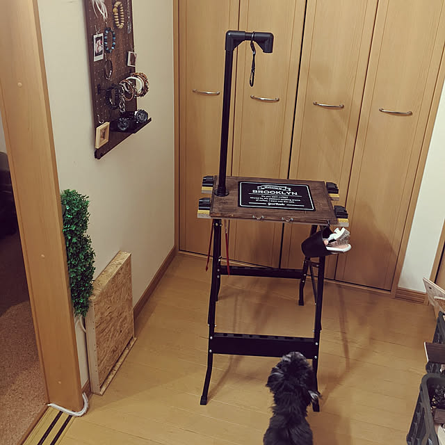 GINさんの実例写真