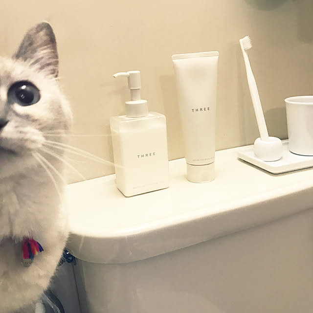 Hotateさんの実例写真
