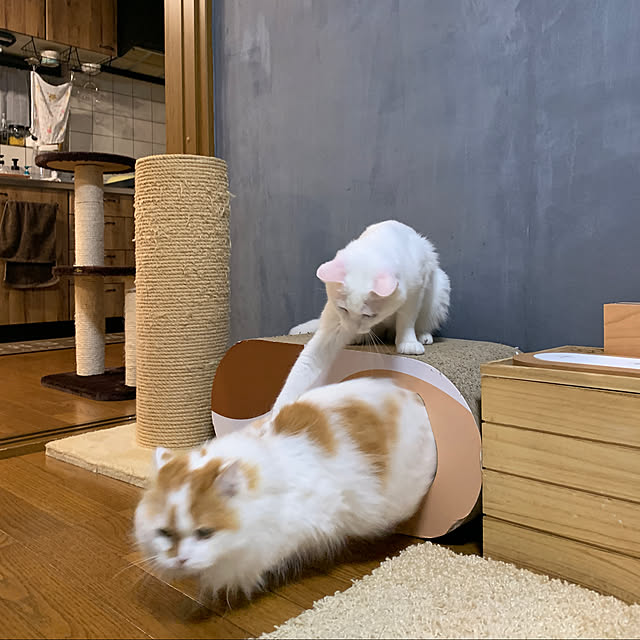 keiさんの実例写真
