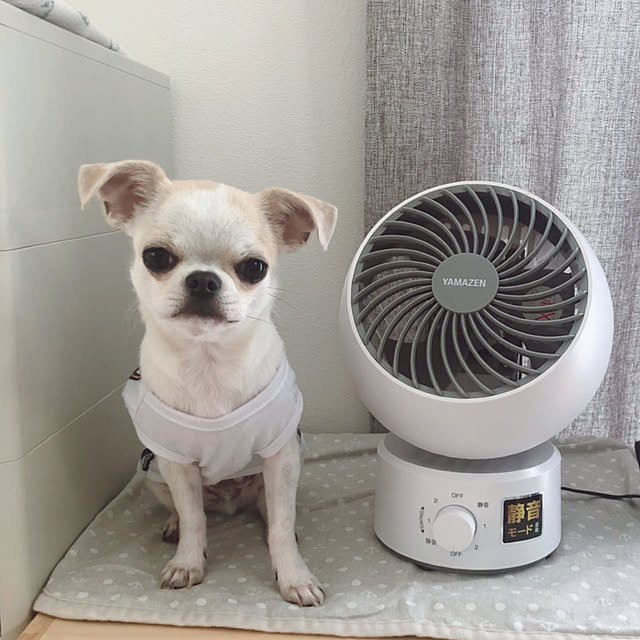 Emiさんの実例写真