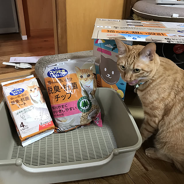 misamisa1113さんの実例写真