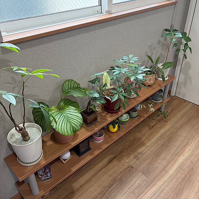 ikuzakさんの部屋