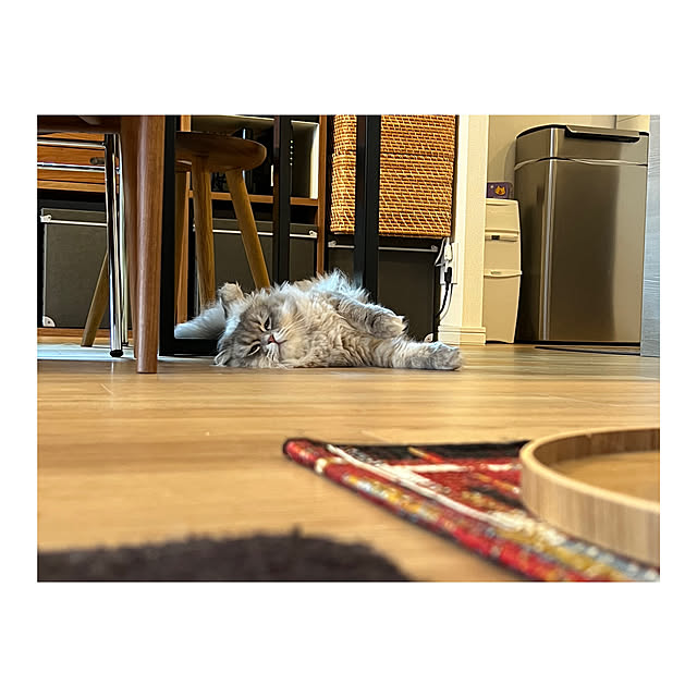 gfさんの実例写真