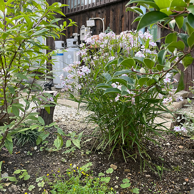 shin0719さんの実例写真