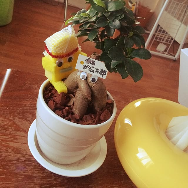 petty_betty_mushroomさんの実例写真