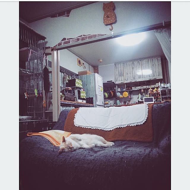 mntcさんの実例写真