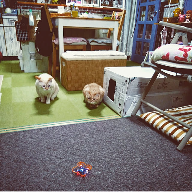 mntcさんの実例写真