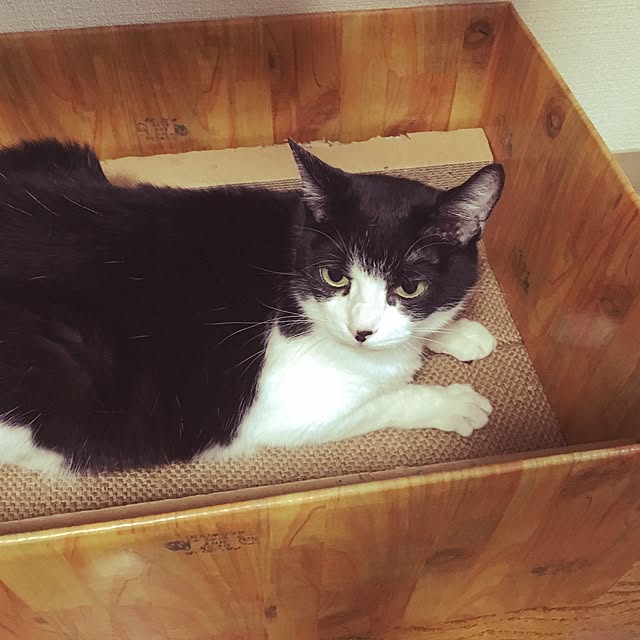 Teraさんの実例写真