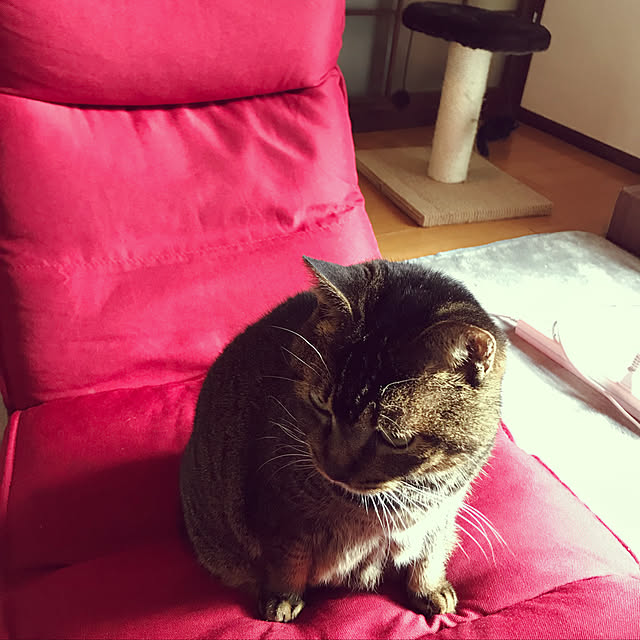 miru22miruさんの実例写真