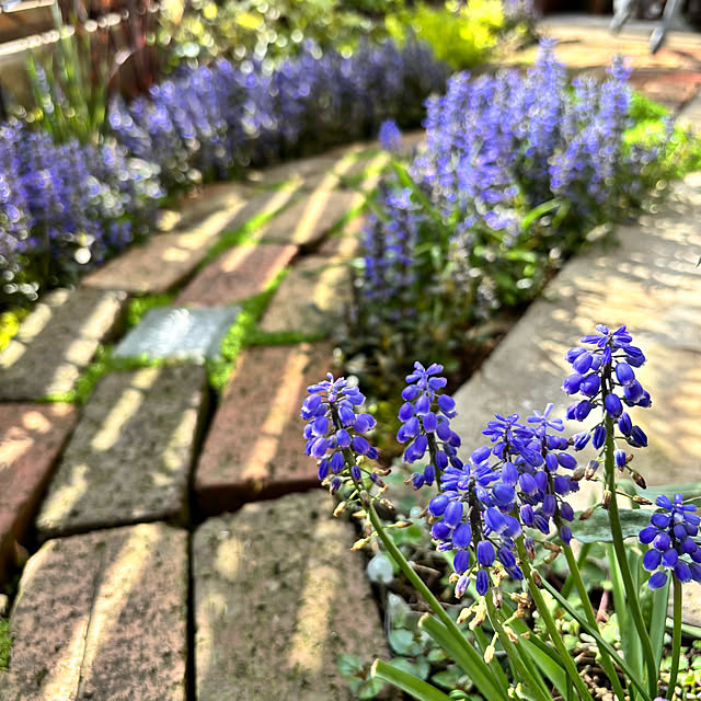 kyoko1124koさんの部屋