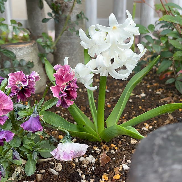 miyu39さんの部屋