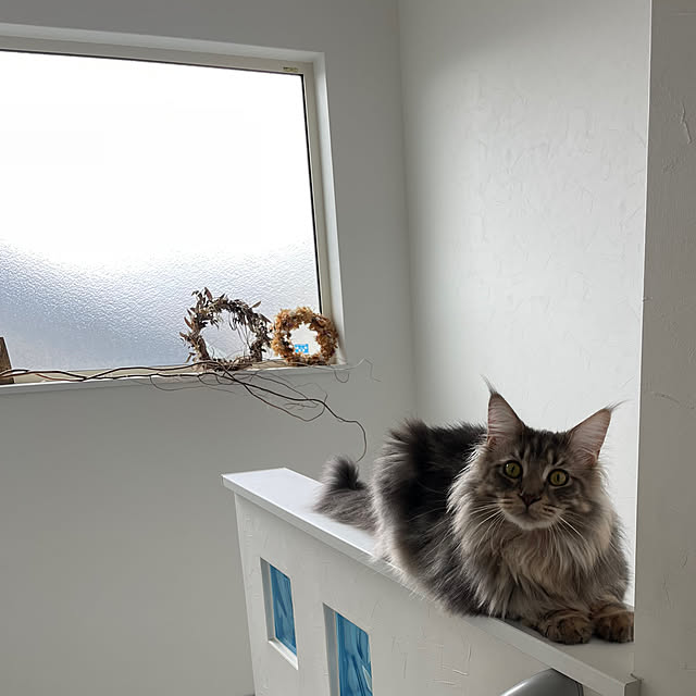 mayumiさんの部屋