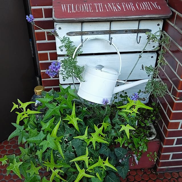 otibi.tt8787さんの部屋