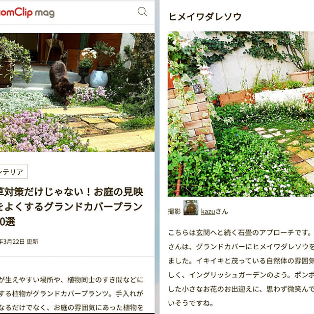 kazuさんの実例写真