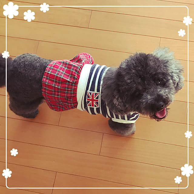 makkoさんの実例写真