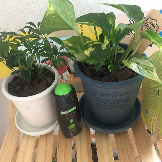 j-ramoさんの実例写真