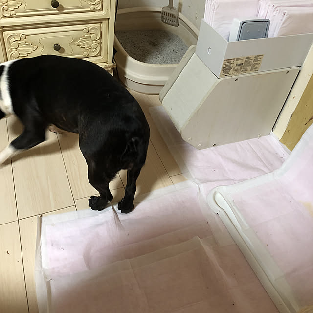 RIRIさんの実例写真