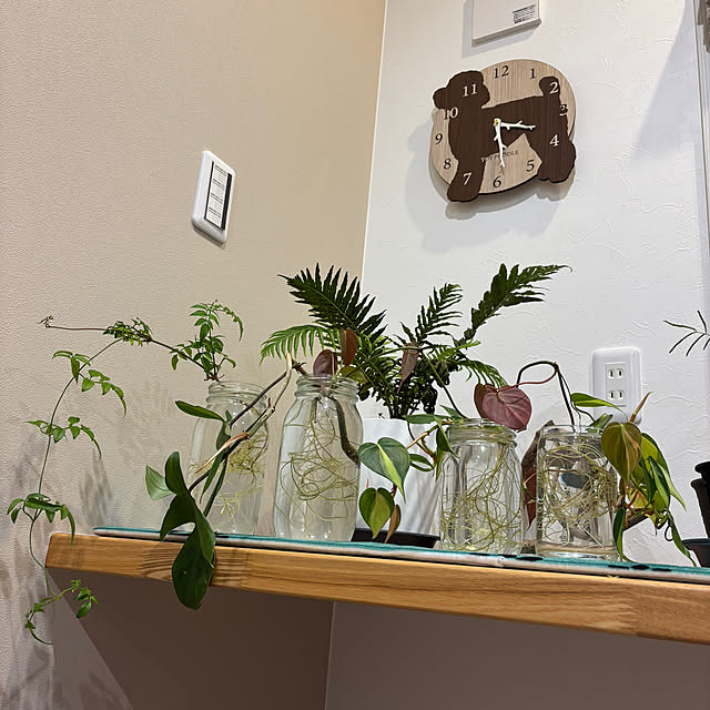 bonber0212さんの実例写真