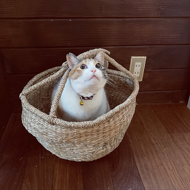 murasaki808さんの実例写真