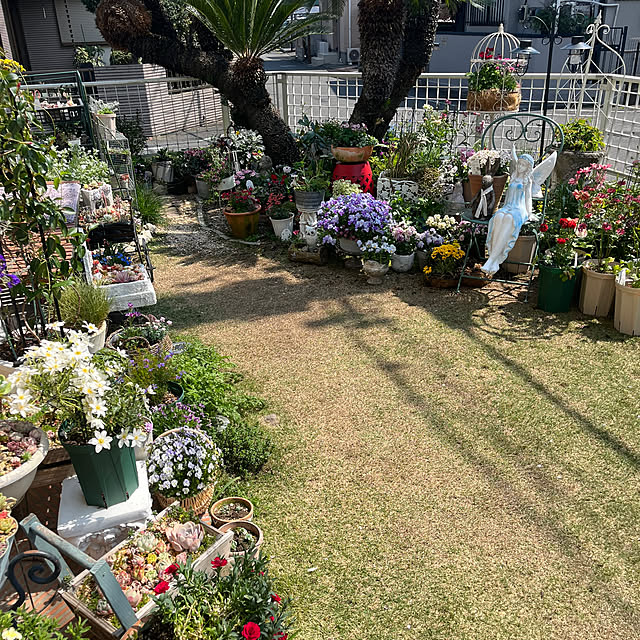 dainaoreiさんの実例写真