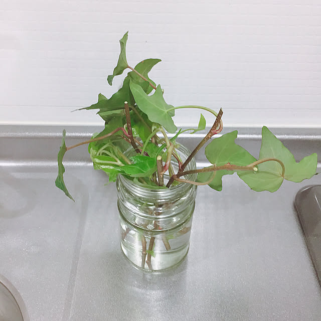Aさんの実例写真